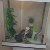 اکواریوم‌ شرکتی تروتمیز در حدنو