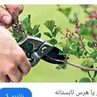 هرس تمام درختان میوه وجنگلی|خدمات باغبانی و درختکاری|مشهد, دانشجو|دیوار