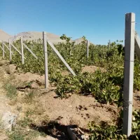 پایه فنس بتنی