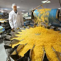نیروی خانم و آقا با حقوق بالا