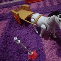 قوقول دوقول  . اسب  شیپور|اسباببازی|رشت, کوی مهر|دیوار