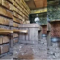 گم شدن|حیوانات|سنگدوین, |دیوار