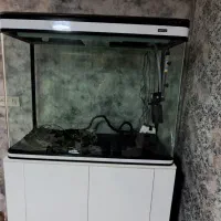 آکواریوم ماهیران