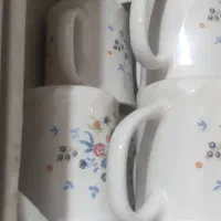 لیوان ارکوپال