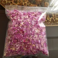 گل محمدی