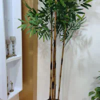 گل مصنوعی|گل مصنوعی|صحنه, |دیوار