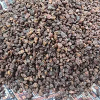 کشمش مخصوص قنادی|خوردنی و آشامیدنی|بروجرد, |دیوار