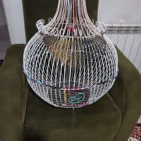 قفس