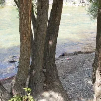 باغ 300متری لب آب|فروش زمین و ملک کلنگی|زاینده رود, |دیوار