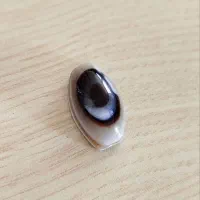 نگین باباقوری