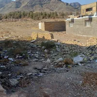 زمین فروشی ۱۱۵ چمران|فروش زمین و ملک کلنگی|تربتحیدریه, کلاته توکلی|دیوار