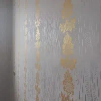 نقاش ساختمان وطرح کاغذدیواری|خدمات پیشه و مهارت|بستان آباد, |دیوار