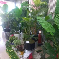 نصب وفروش چمن مصنوعی فنس چمنی گیریموال|خدمات باغبانی و درختکاری|کرج, آق تپه|دیوار