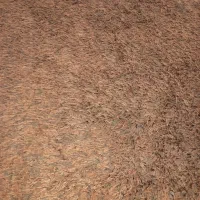 فرش هندی پرز بلند کاملن نو|فرش|ماهدشت, |دیوار