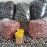 محصولات گیلان