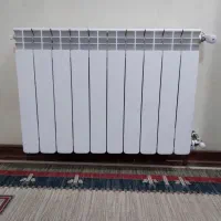 پکیج و رادیاتور|آبگرمکن، پکیج، شوفاژ|شیراز, فرگاز|دیوار