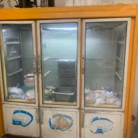 یخچال فروشگاهی