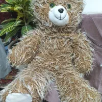 حراج خرس کرم قهوه ای