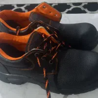 کفش کارایمنی