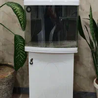 آکواریوم شیشه خم شرکتی ماهیران