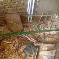 میز میوه فروشی