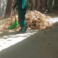 به تعدادی خانم و آقا جهت نظافت داخل ویلا