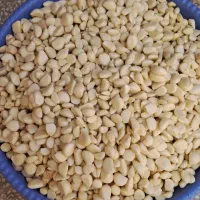 سیرپوستکنده همدان
