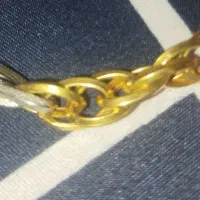 طلا و مدارک پیدا شده