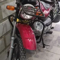 احسان شکاری