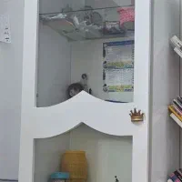 کتاب خانه درختی وکمد وشلف ۸طبقه|کتابخانه، شلف، قفسه‌های دیواری|مشهد, رده|دیوار