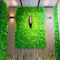 ۵۷ متر /۲۰ متر حیاط اختصاصی ( آسانسور+ پارکینگ|فروش آپارتمان|تهران, جوانمردان (اندیشه)|دیوار