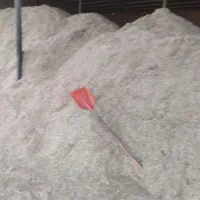 کاه ویونجه خورد شده