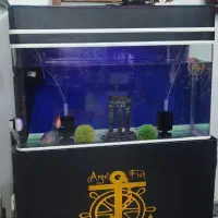 فروش آکواریوم بزرگ وپایه دار|ماهی|خرمآباد, |دیوار