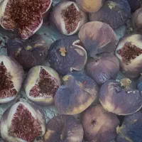 انجیر کوهی ارگانیک کاملا طبیعی|خوردنی و آشامیدنی|شیراز, شهرک فرهنگیان|دیوار
