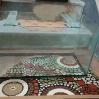 لوازم ورزشی وآکواریوم|تجهیزات ورزشی|قم, باغ شریفی|دیوار