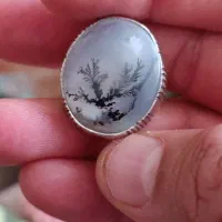 انگشترشجر قاینات