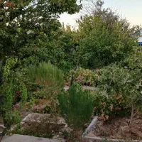 باغ ویلای 1440 متری سنددار در کاشمر|فروش خانه و ویلا|کاشمر, |دیوار