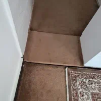 قالی کرمی و گردویی|فرش|سرپل ذهاب, |دیوار