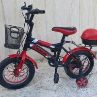 دوچرخه ۱۲ (تایوان اصل)