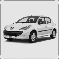 207  خشک 1404