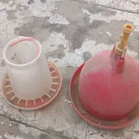 آبخوری ودانخوری مرغ