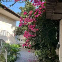 ویلاباغ جنگلی / مستقل / مدارک کامل|فروش خانه و ویلا|امامزاده عبدالله, |دیوار