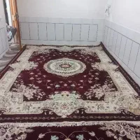 دو عدد قالی ۱۲ متری نو و تمیز