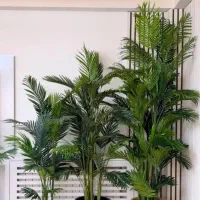 درخچه مصنوعی فینیکس|گل مصنوعی|شهرکرد, |دیوار