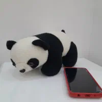 عروسک های شیک|اسباب‌بازی بچه|سنندج, |دیوار