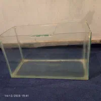 یک عدد آکواریوم شیشه‌ای|ماهی|ملایر, |دیوار