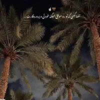 زدن پاجوش حرص نخل و باغ