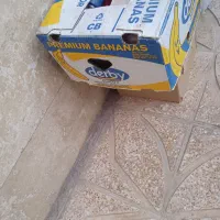 مقداری وسایل کارتن وکارتن موزوغیره....پیدا شده