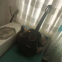 گیتار کلاسیک گودمن