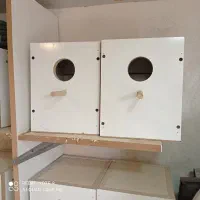لونه کوتوله و مرغ عشق اینگلیسی